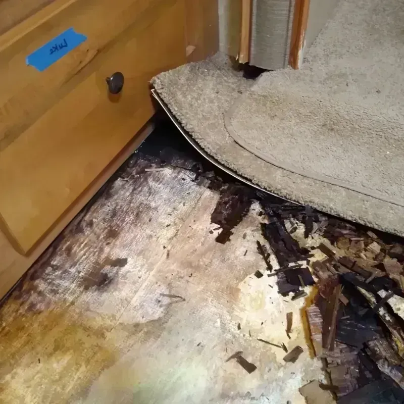 Wood Floor Water Damage in Mercer County, IL